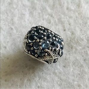 Pandora charm